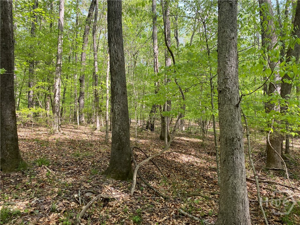 2B Curry Falls Trail Road UNIT 2B, Athens, GA, 30607