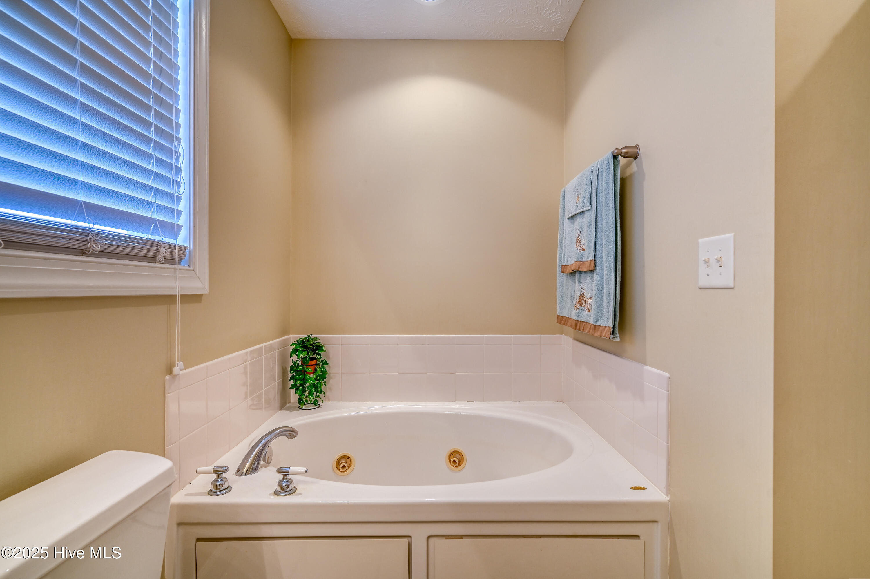 100502638 | Photo 34