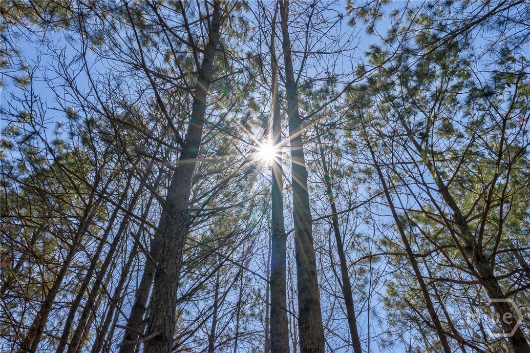 0 Poplar Street, Monroe, GA, 30655