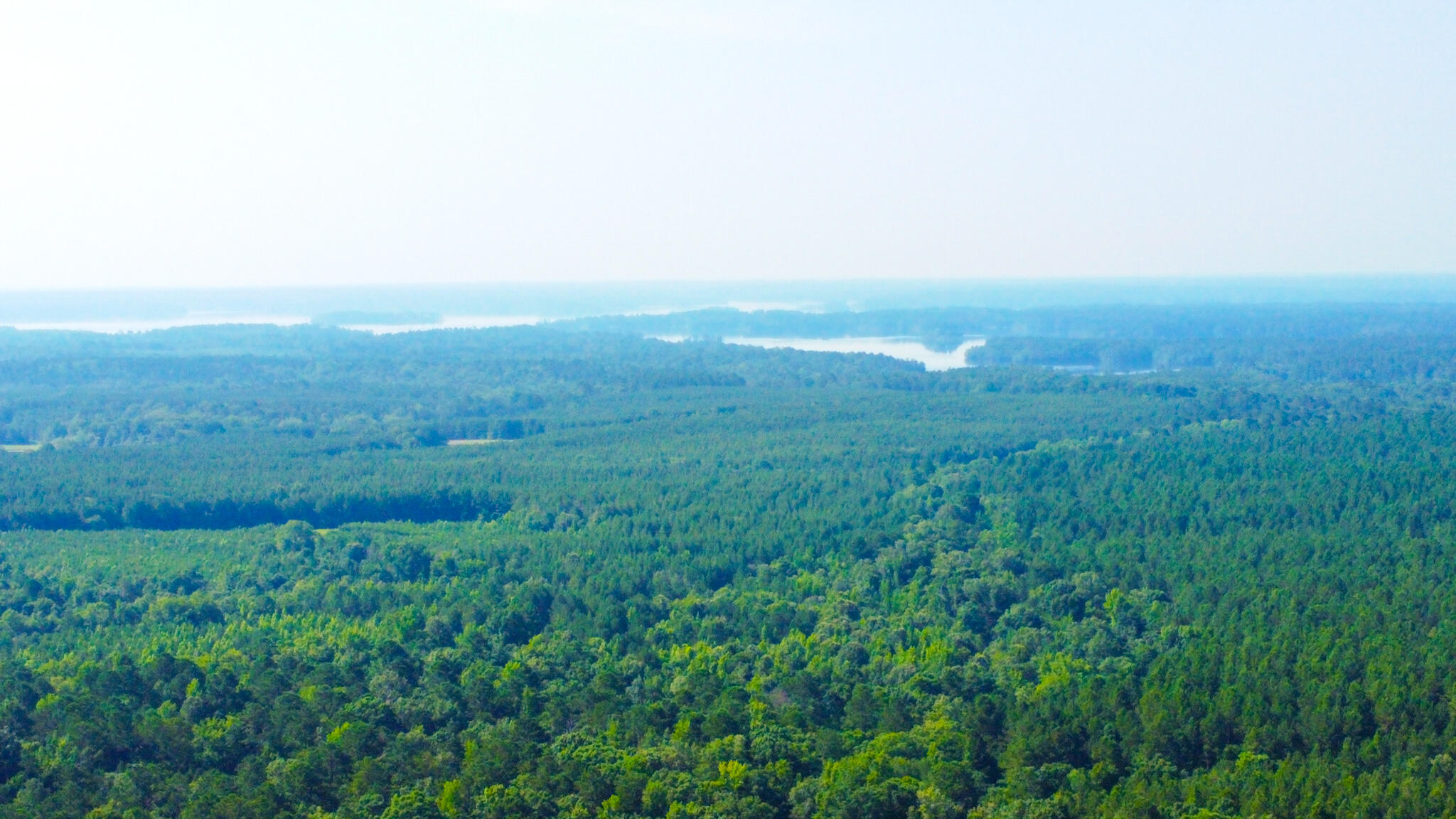 0 Backway Road, Lincolnton, GA, 30817