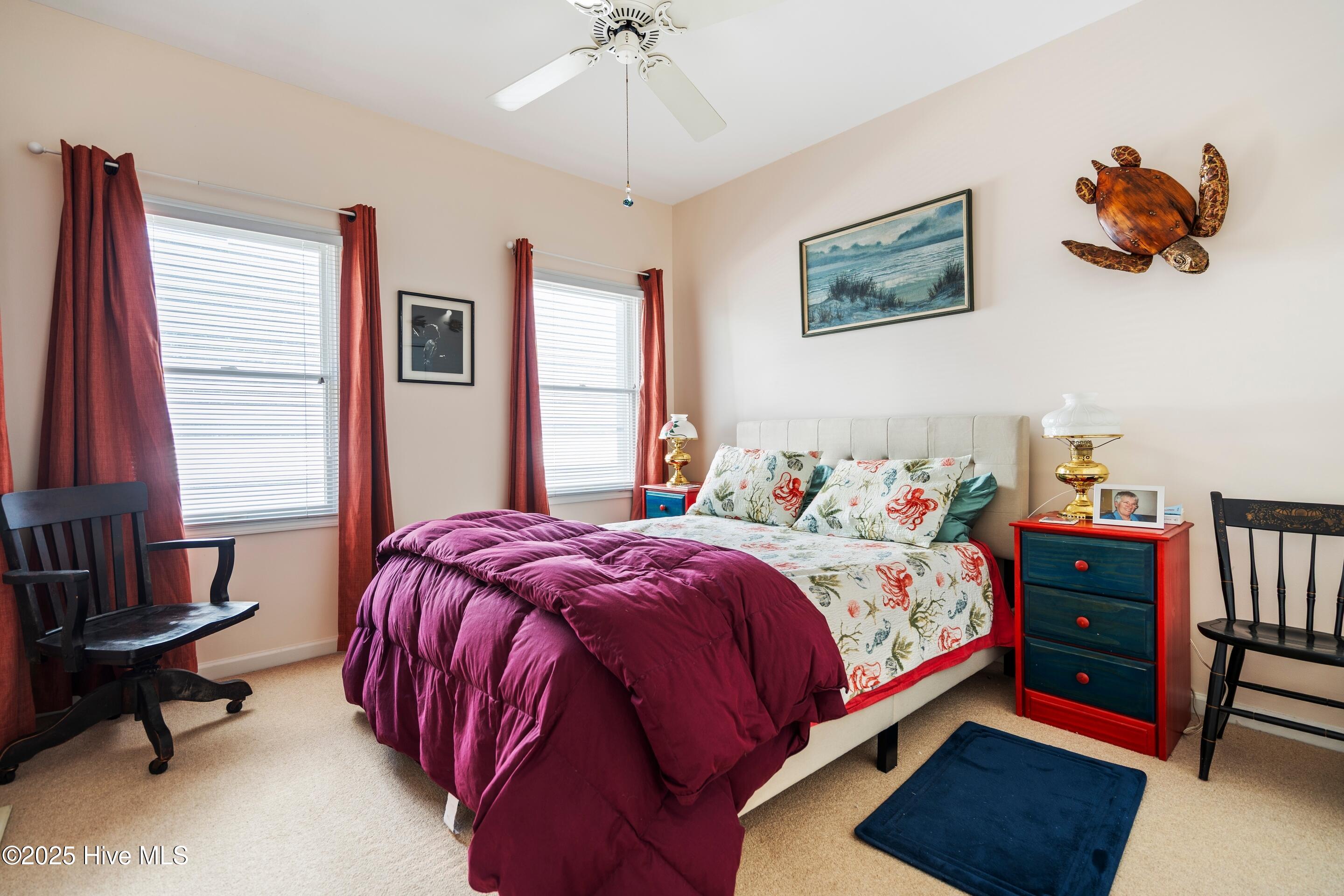 100535794 | Photo 19