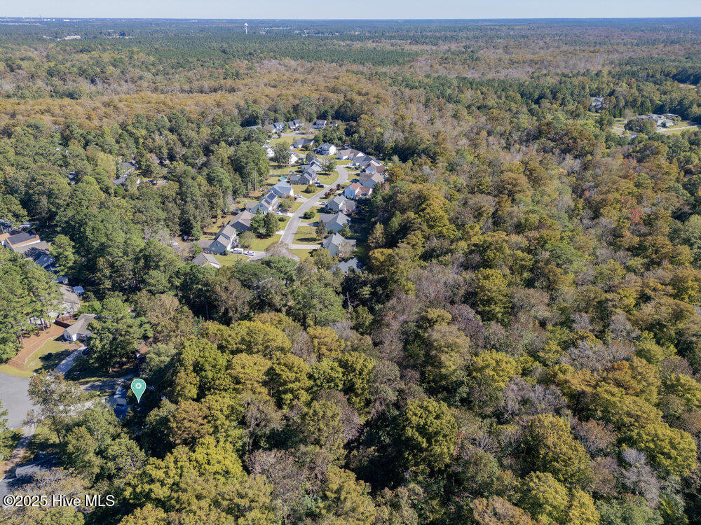 100537257 | Photo 32