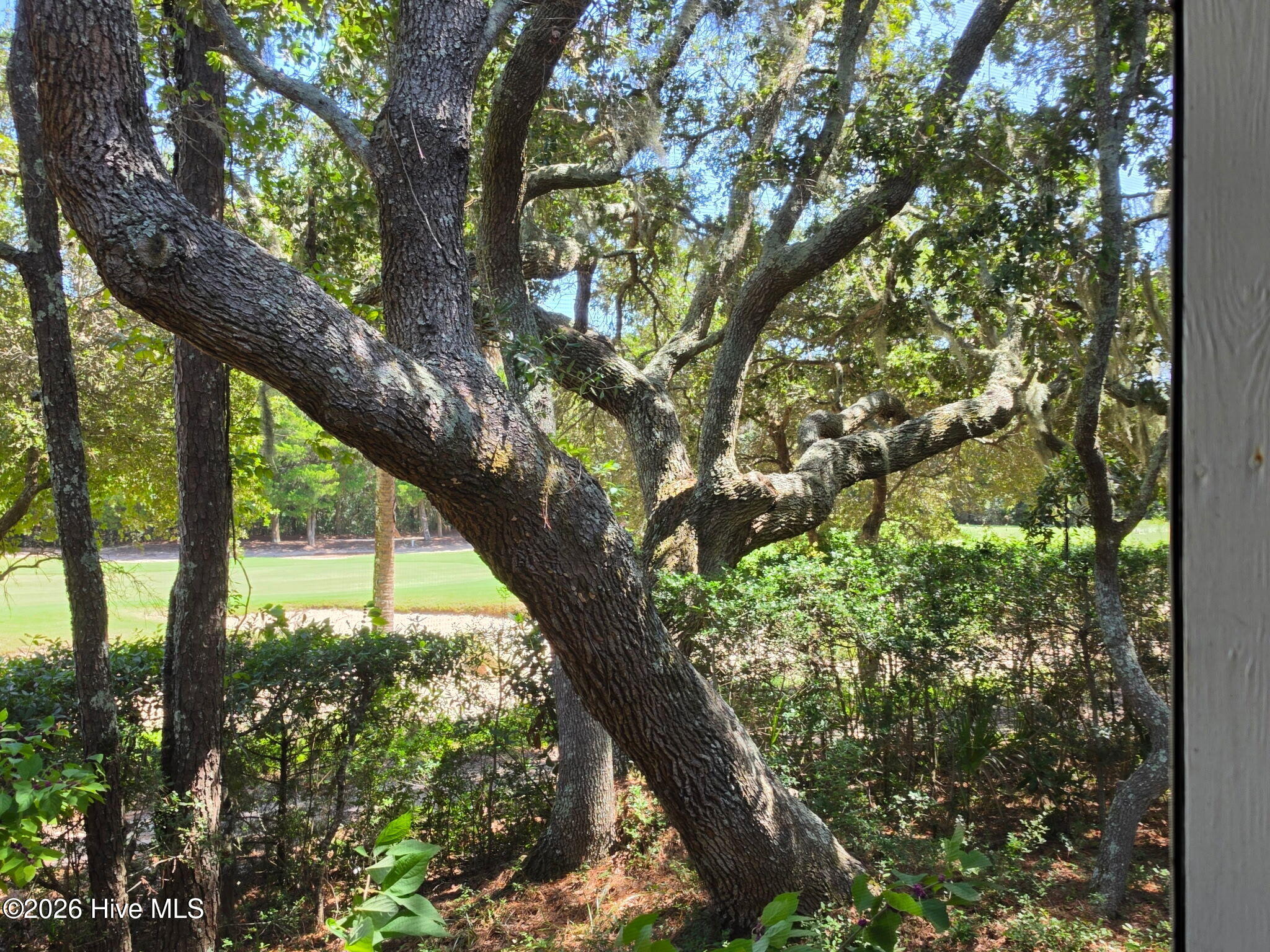 14 Gunnery Court, Bald Head Island, NC 28461 – photo 6