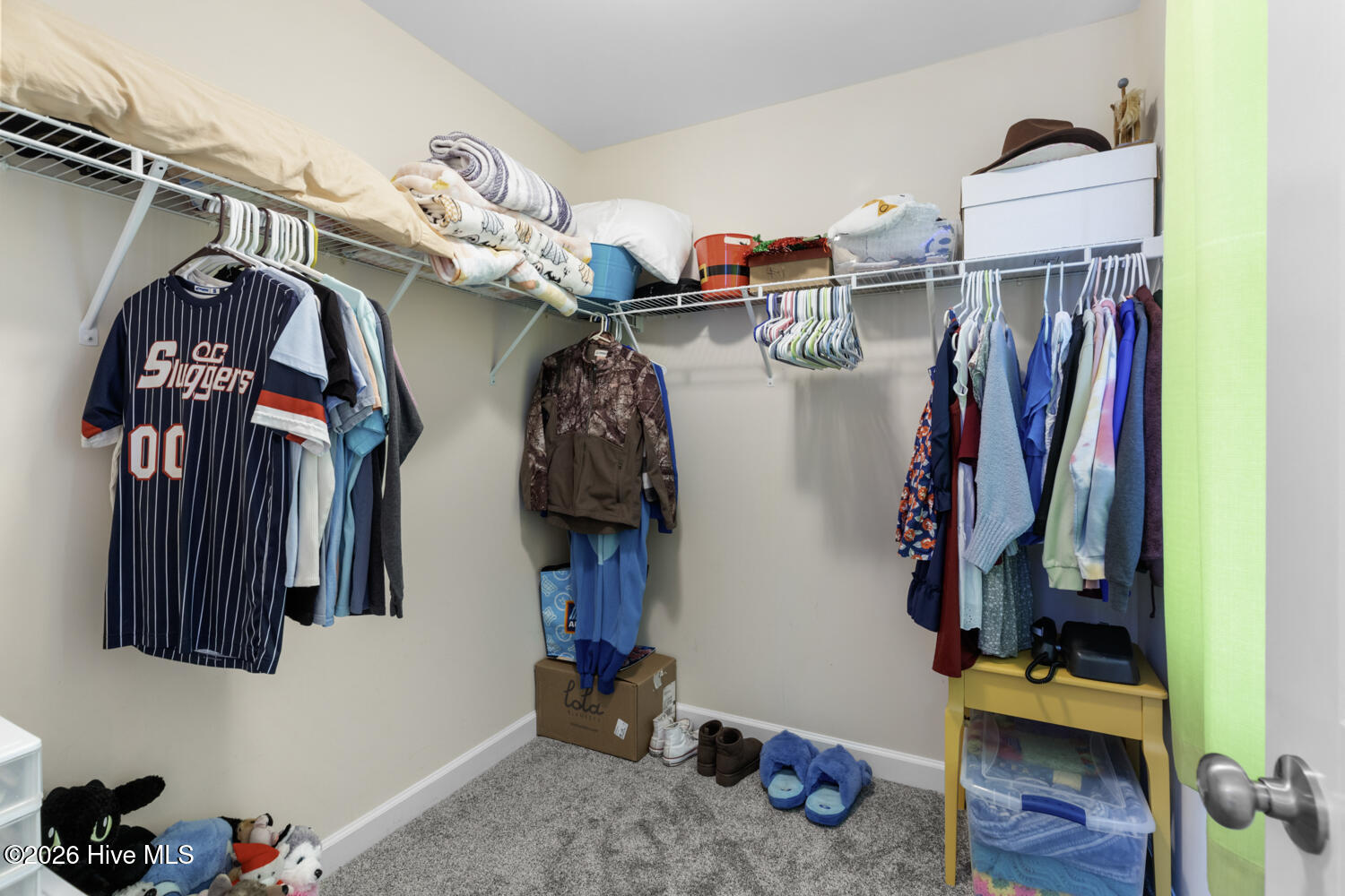 100548430 | Photo 26