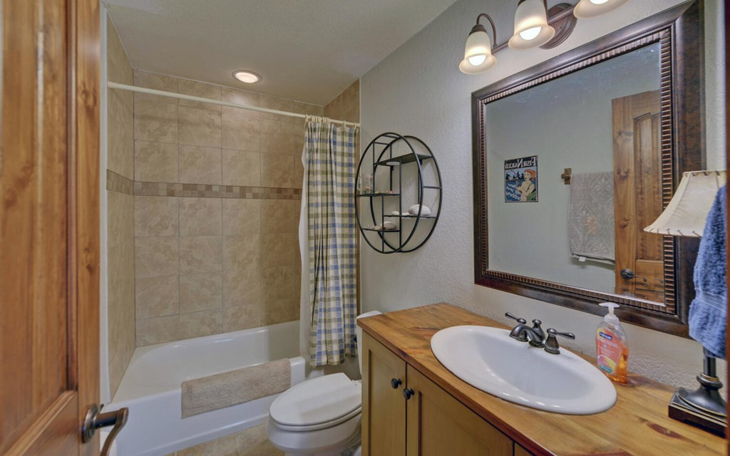 483 Vineyard Creek Way, Murphy, NC 28906 Listing Photo  44