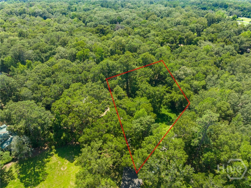 2nd image of 777 Silk Hope Dr, Richmond Hill, GA 31324 | MLS# SA363428