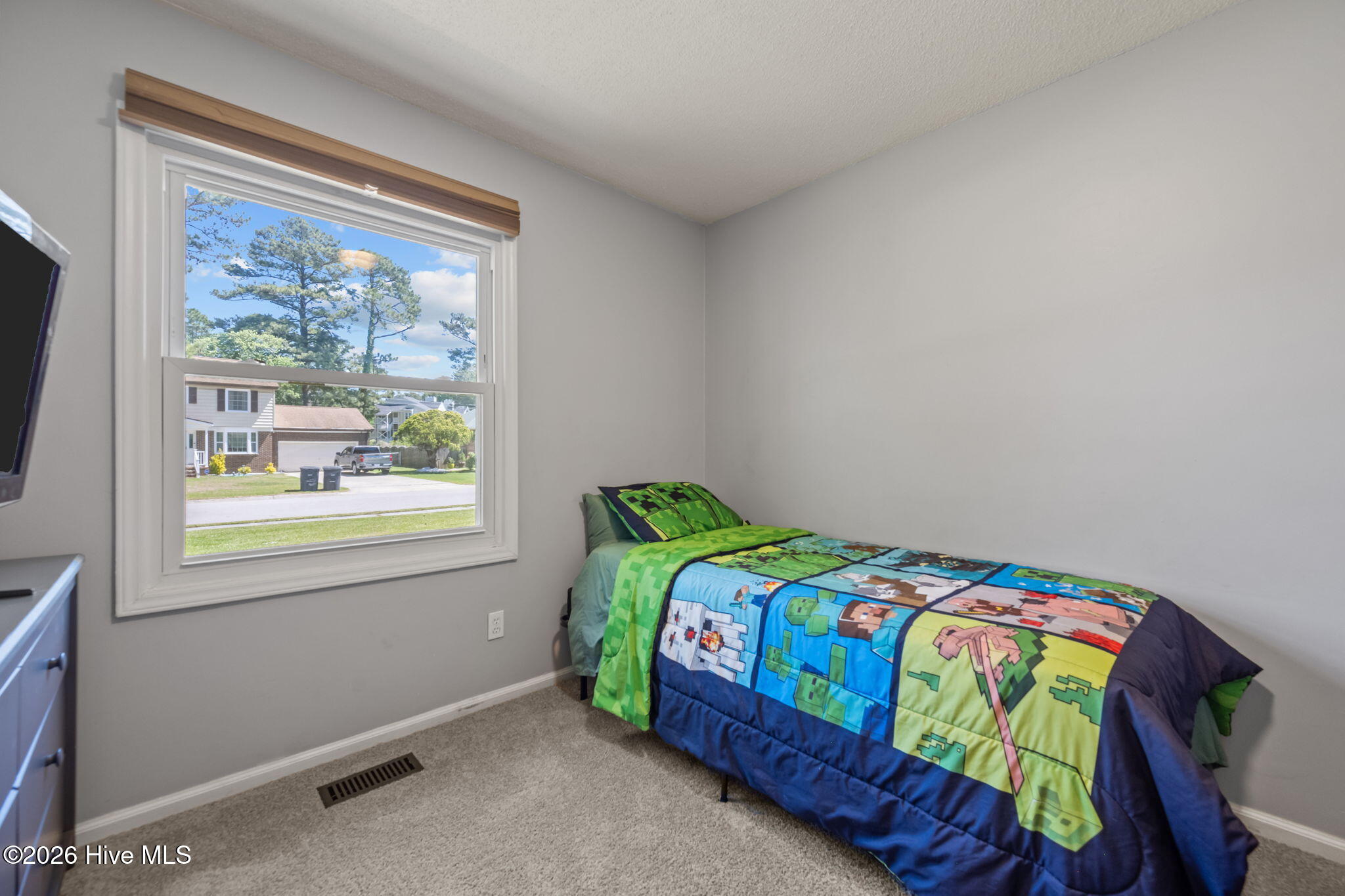 100569028 | Photo 41