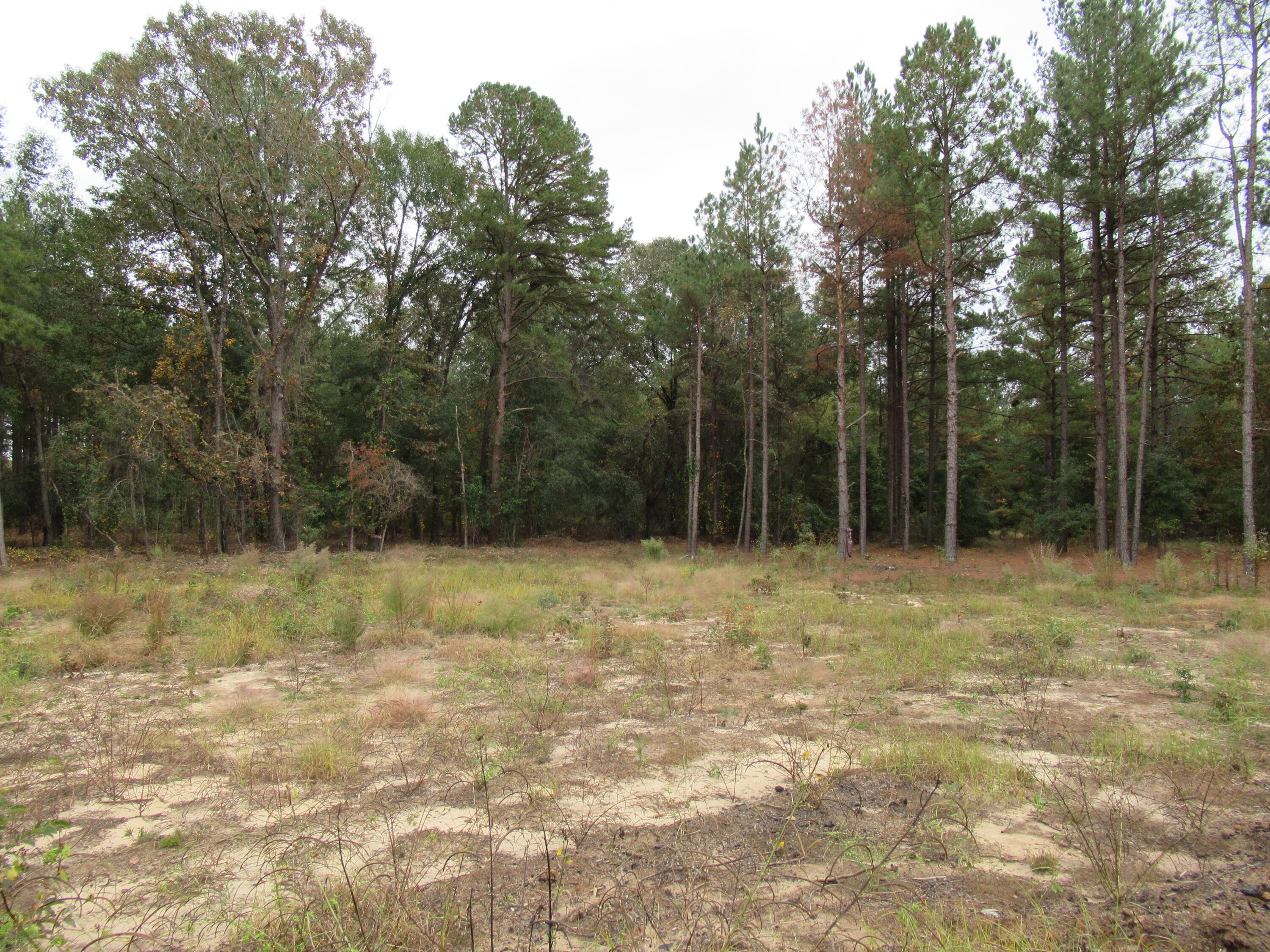 0 TWIN PINES RD., Keysville, GA, 30816