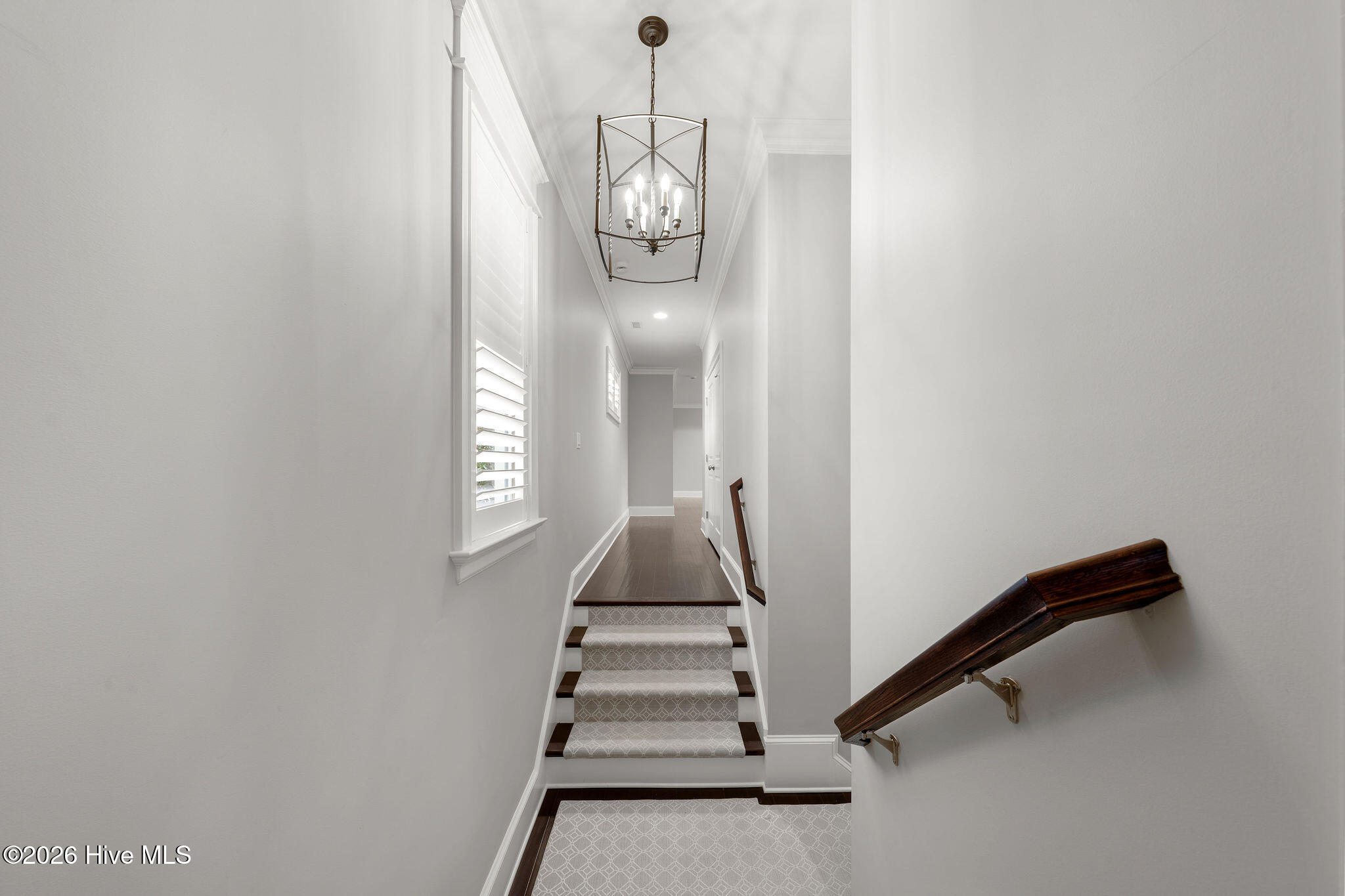 100553604 | Photo 47