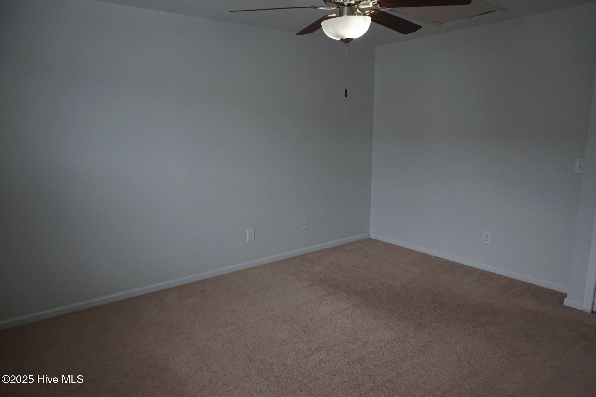 100561095 | Photo 12