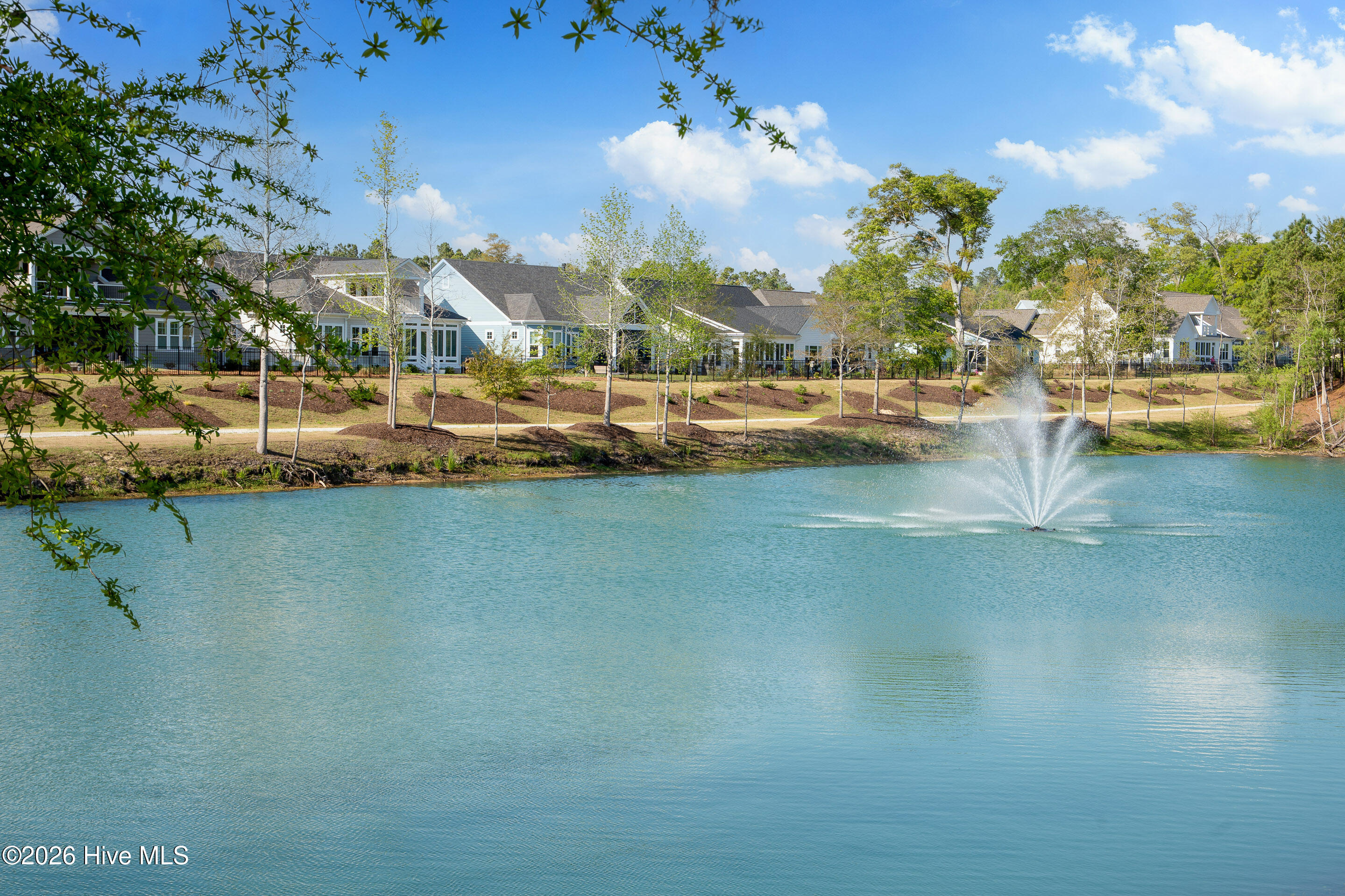 100567937 | Photo 14