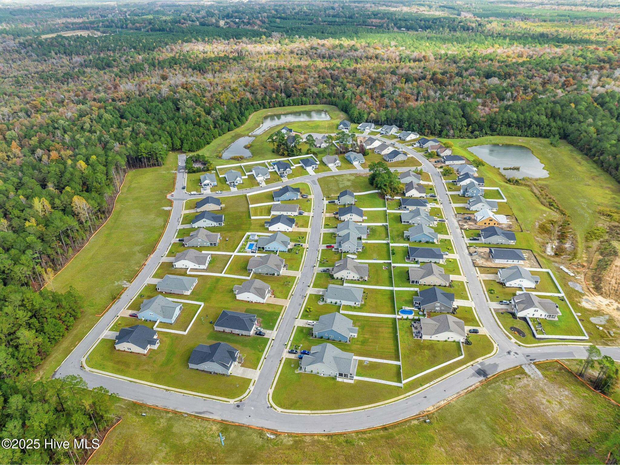 100542569 | Photo 51