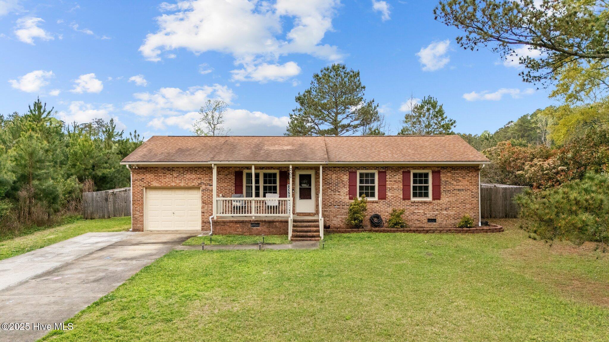 250 Ernest Gurganus Road, Jacksonville, NC 28540 – photo 3: 3-web-or-mls-DJI_20250403103205_0081_D
