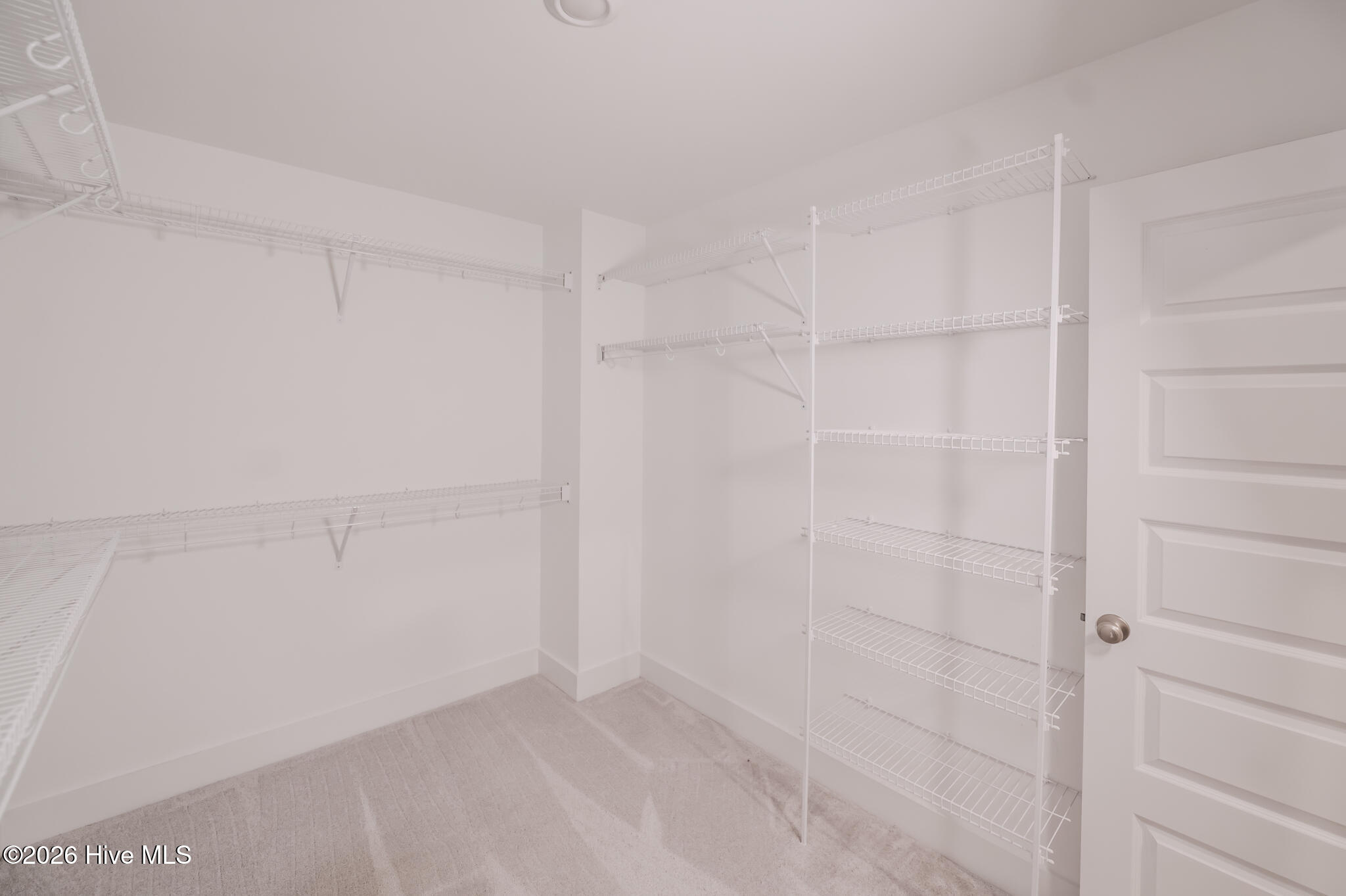 100567790 | Photo 74