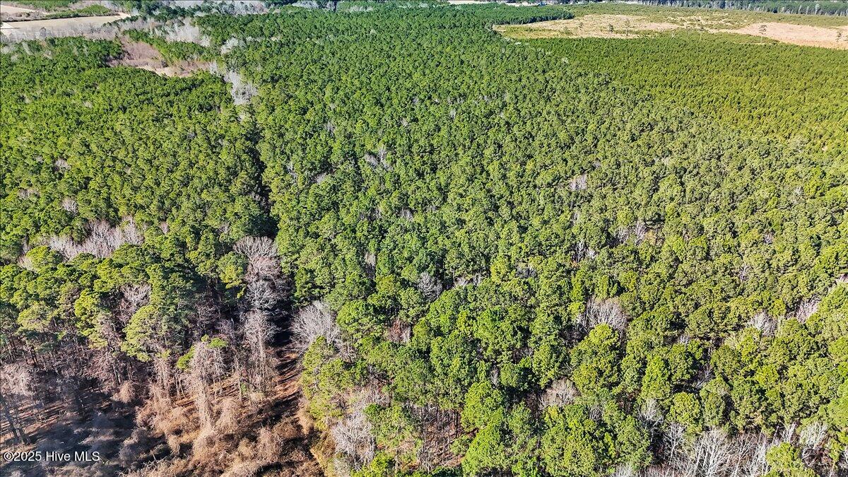 21-DJI_20251222114954_0173_D