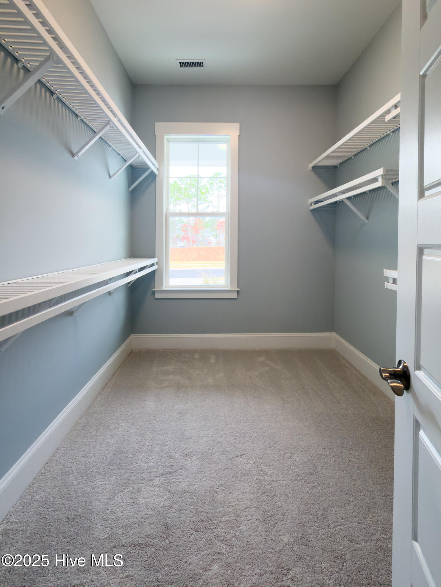 100538796 | Photo 22