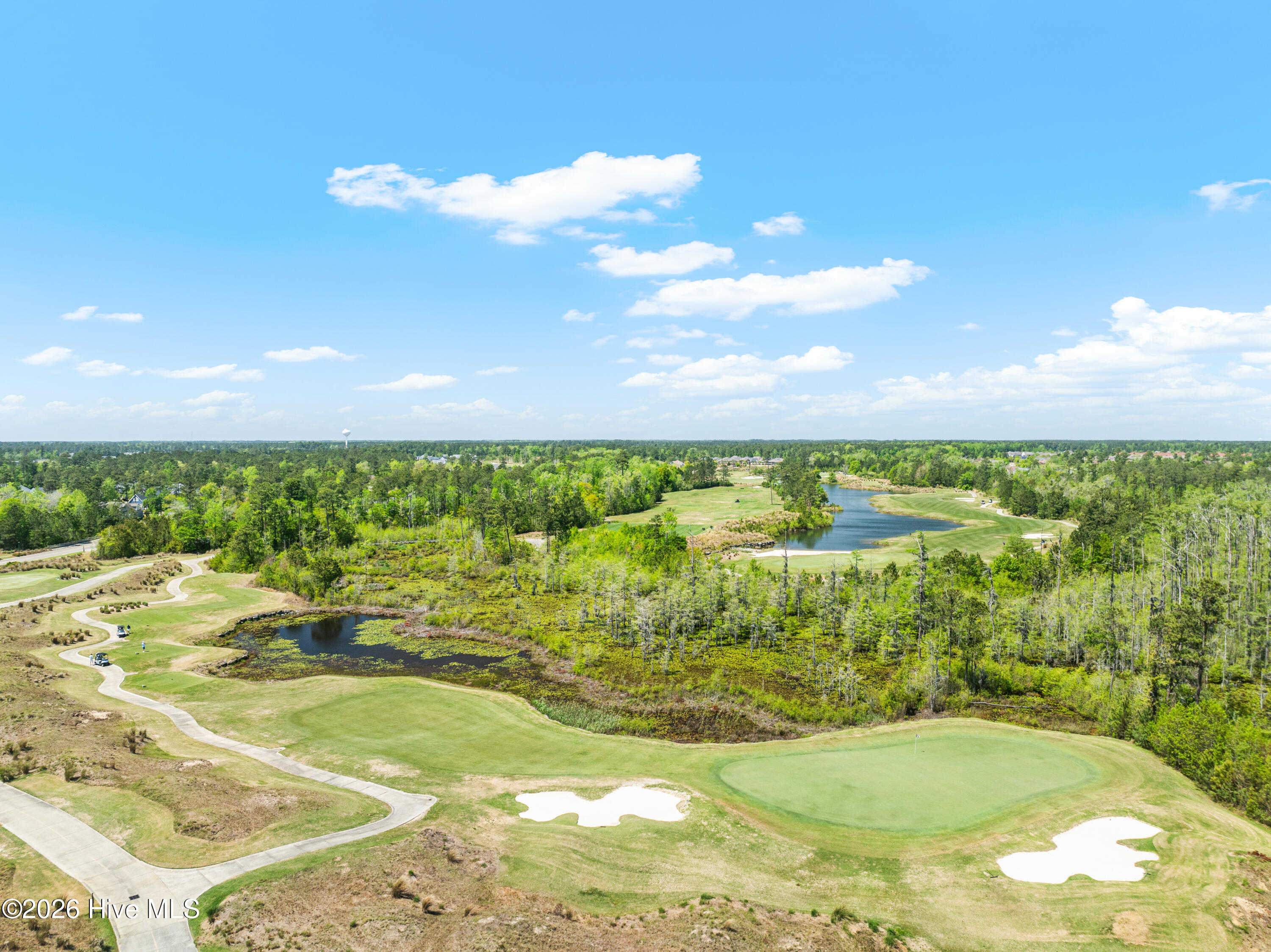 100557965 | Photo 62