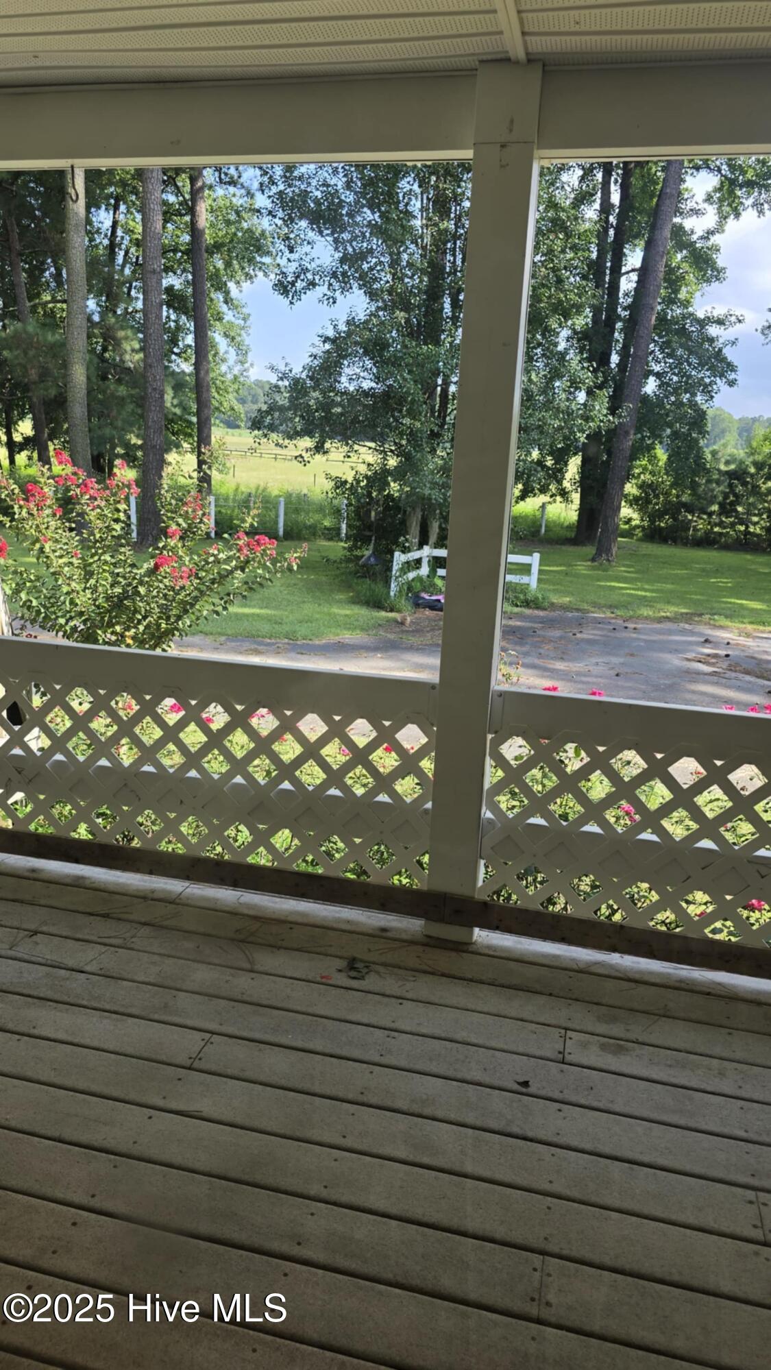 100522277 | Photo 37