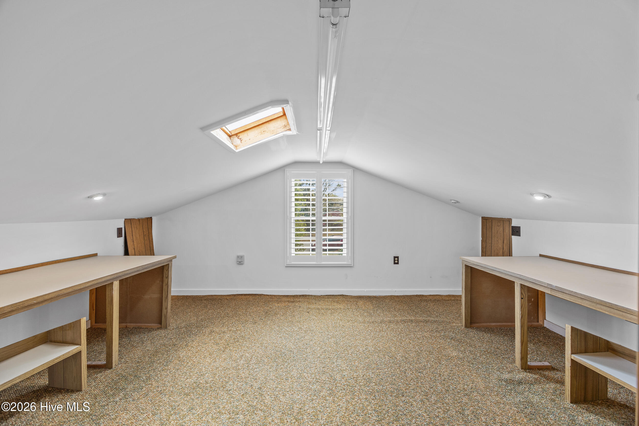 100564619 | Photo 25