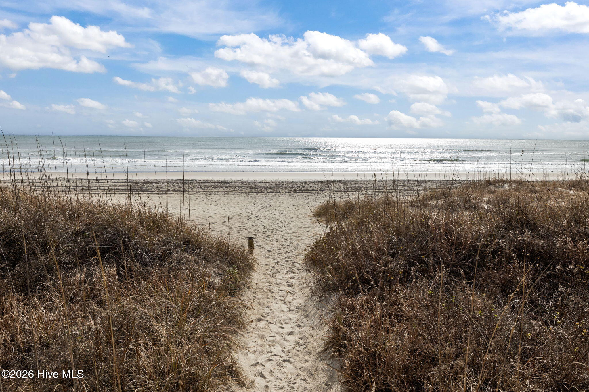 100549810 | Photo 17