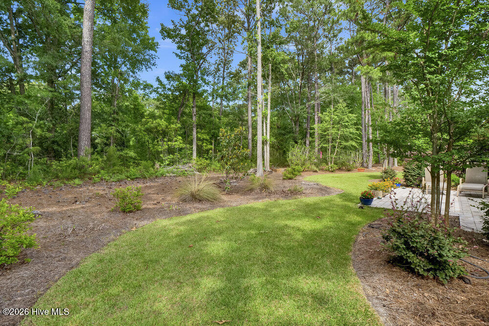 100547594 | Photo 31