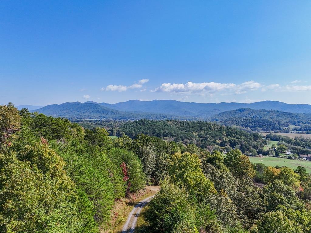 Listing Photo 98542976