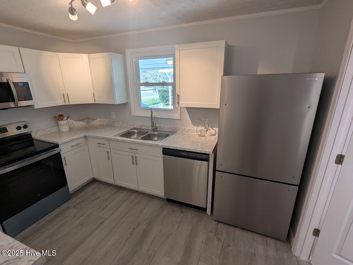 100541231 | Photo 11