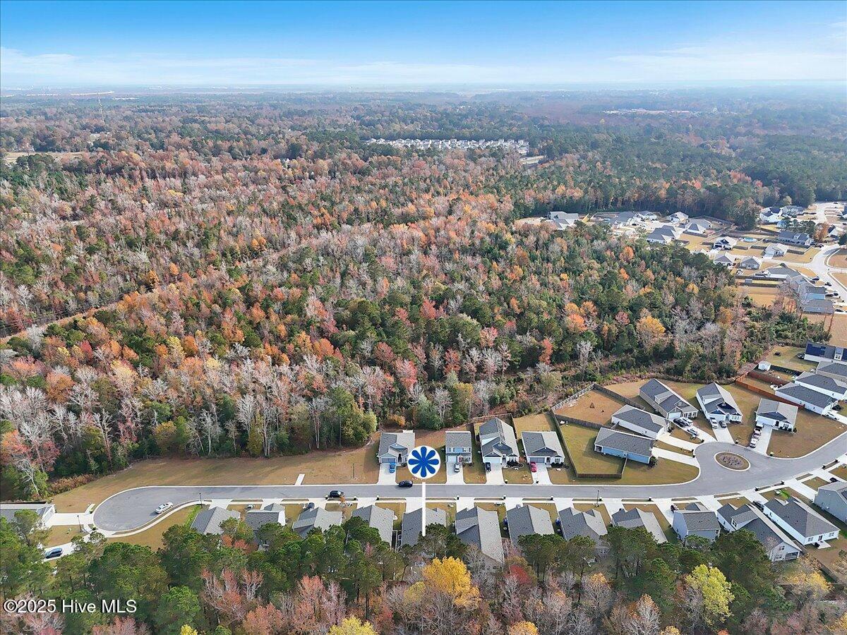 100543041 | Photo 39