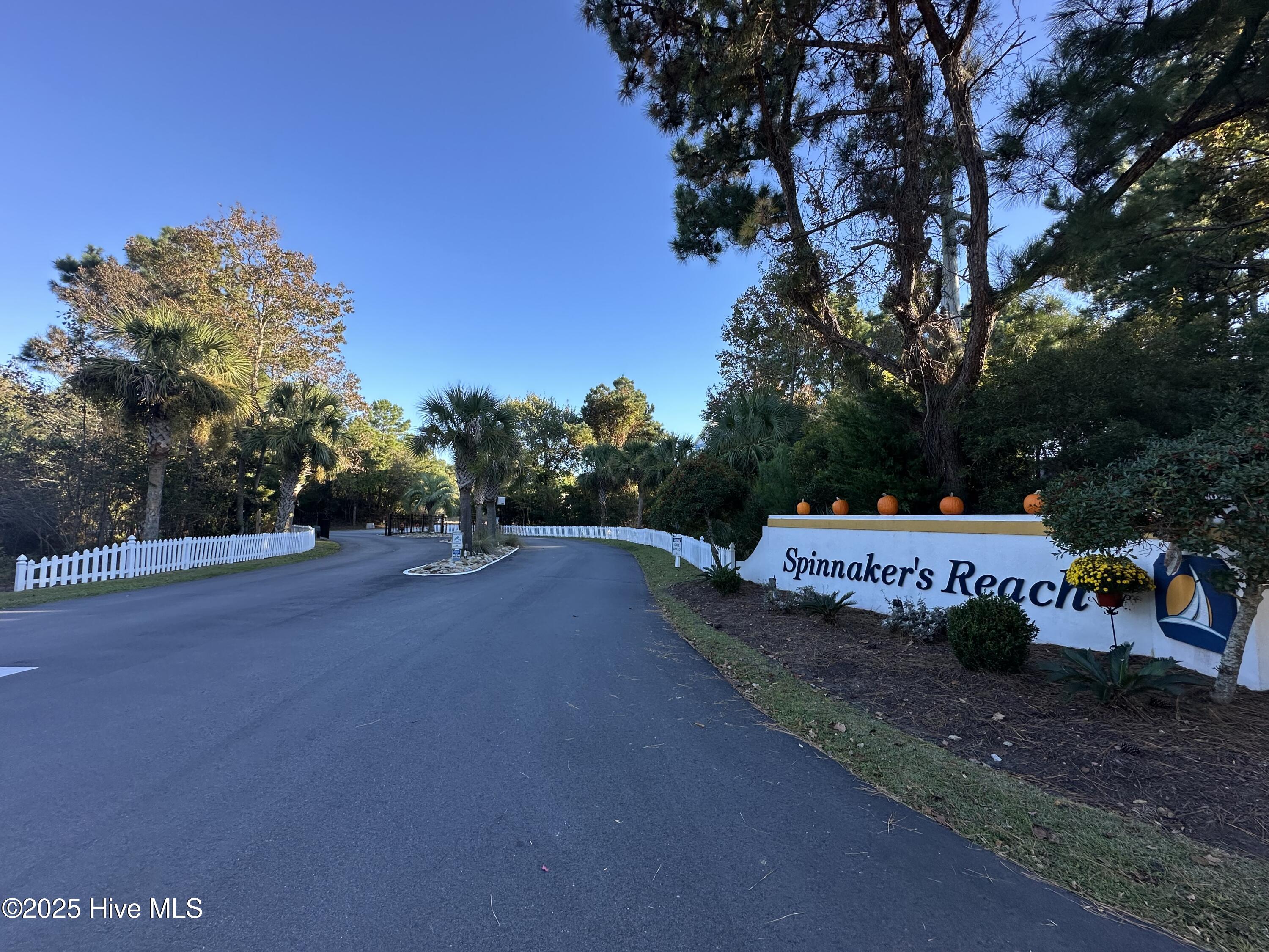 100541168 | Photo 48