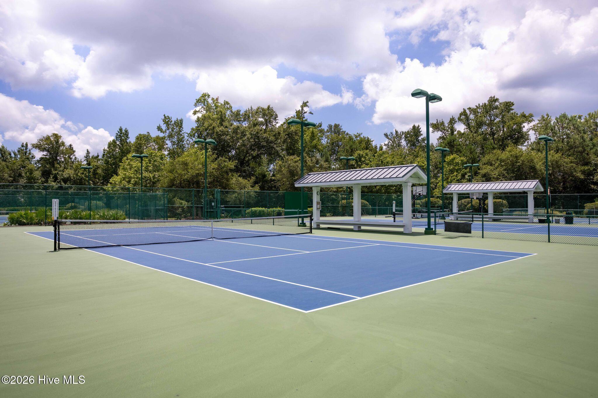 100559080 | Photo 88