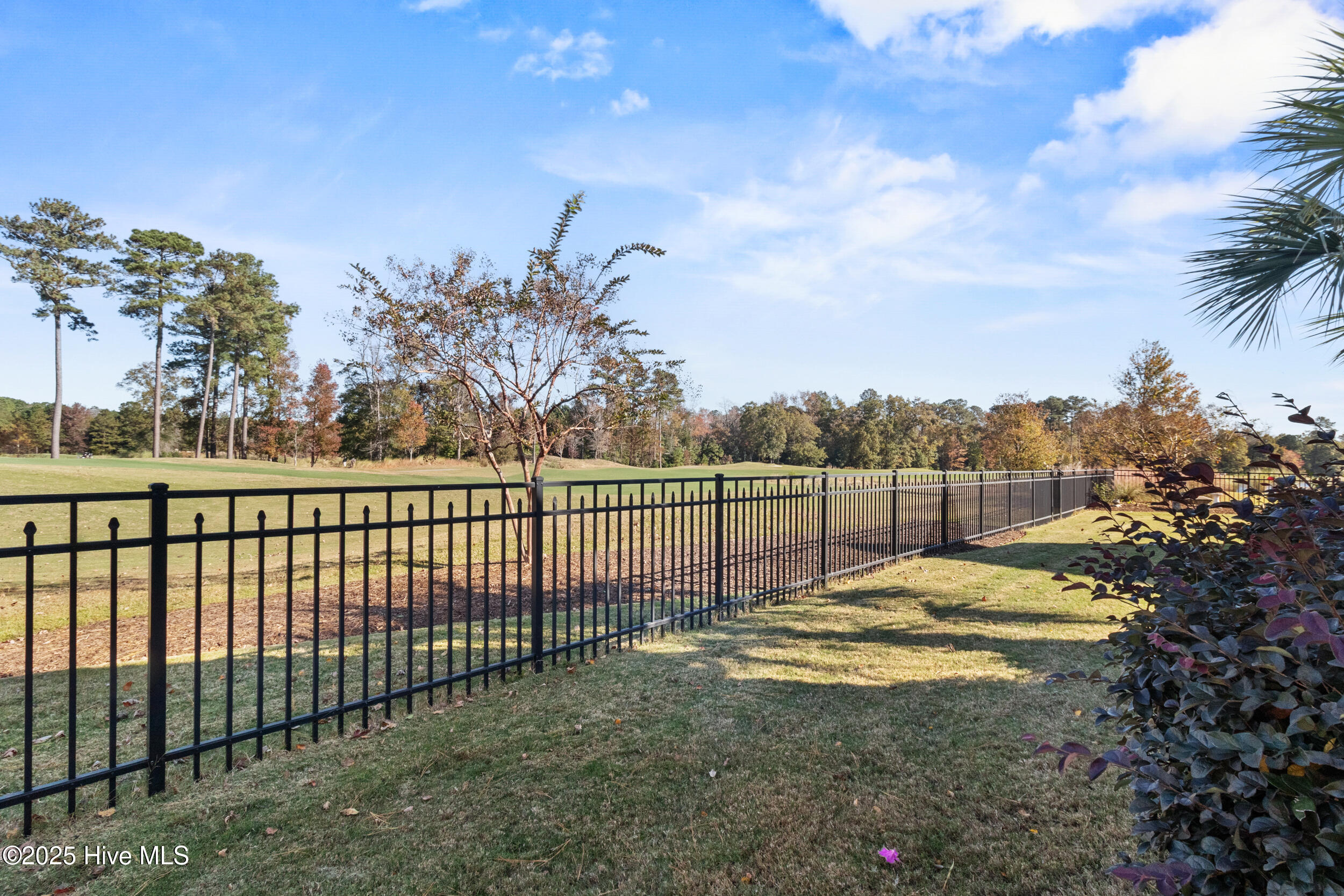 100541270 | Photo 44