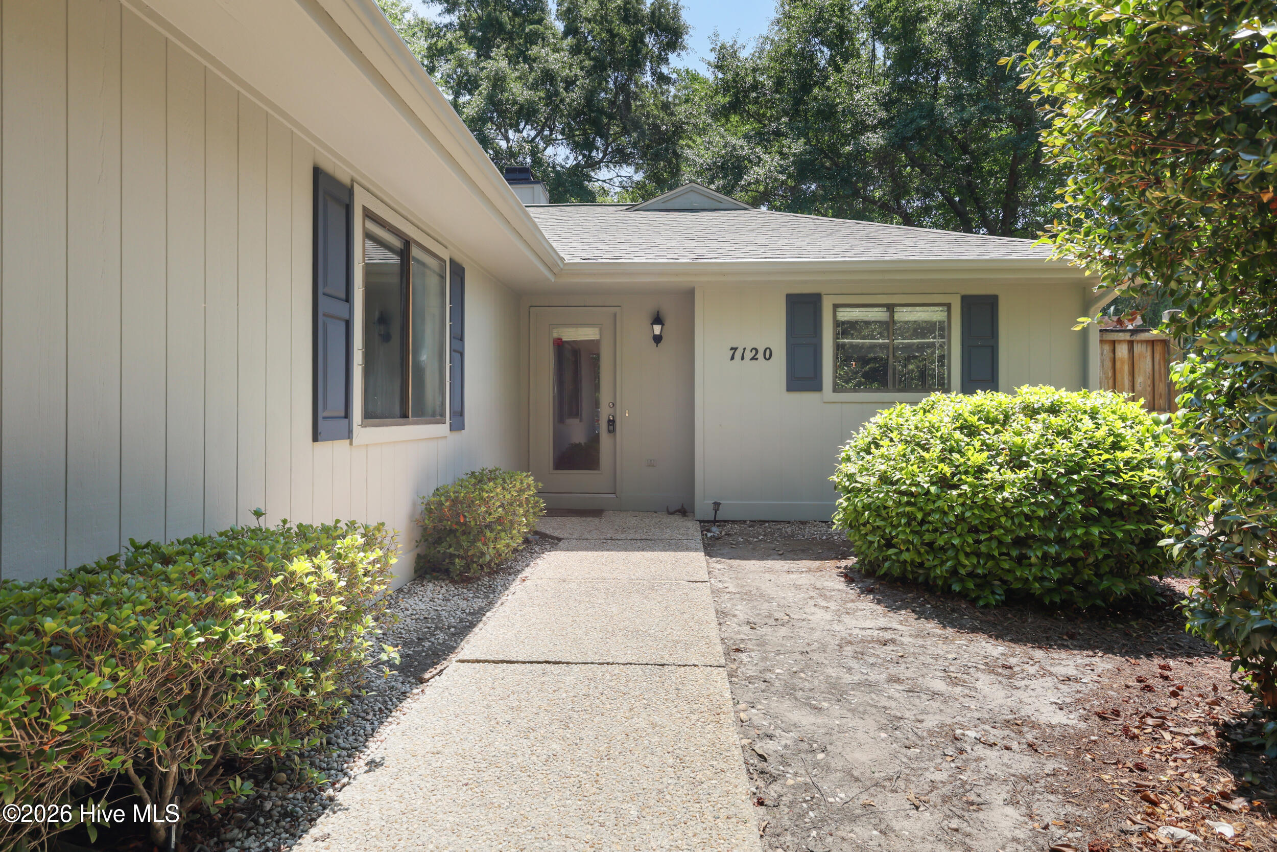 100569768 | Photo 13