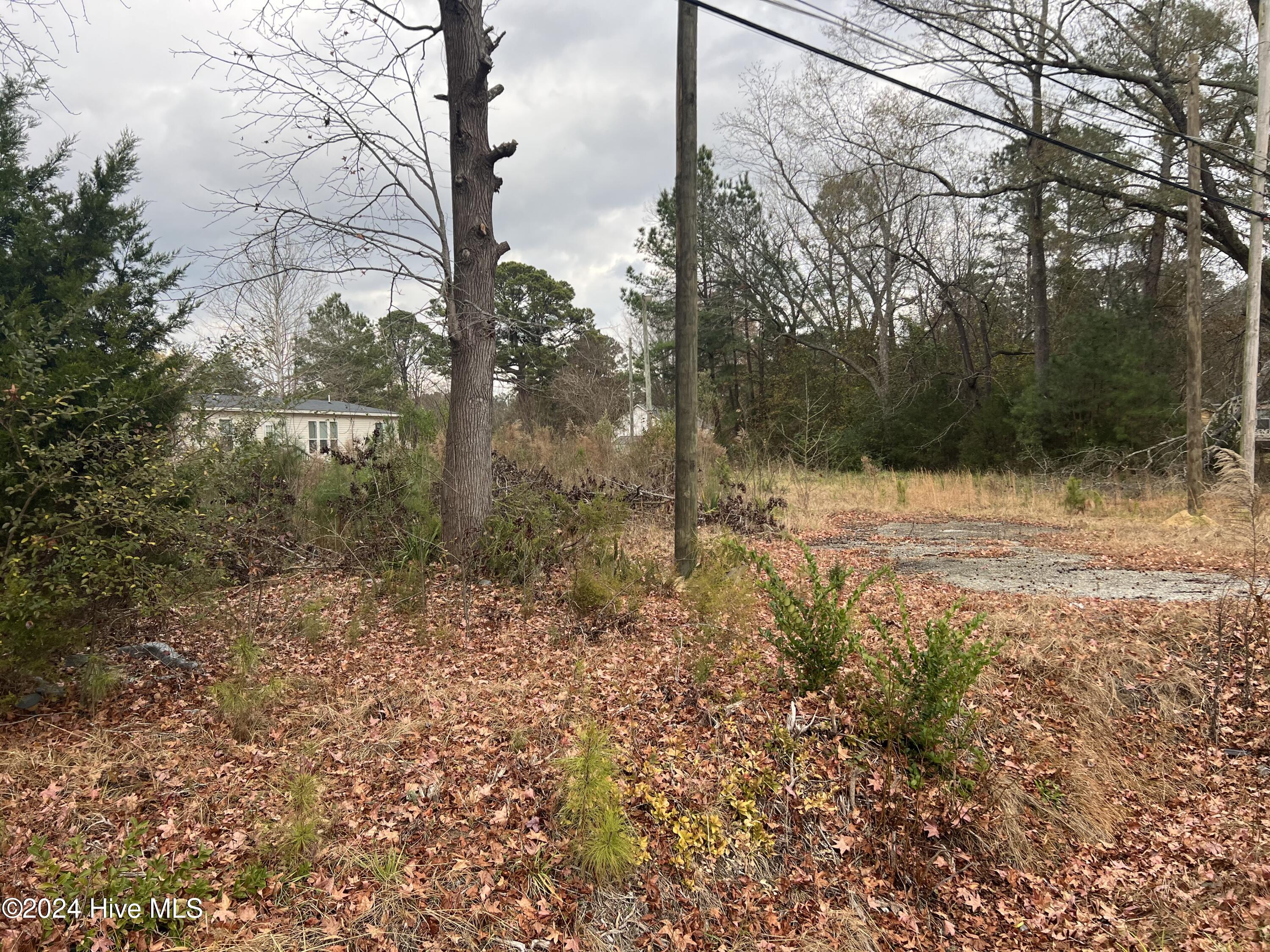 103 Greenwood Boulevard