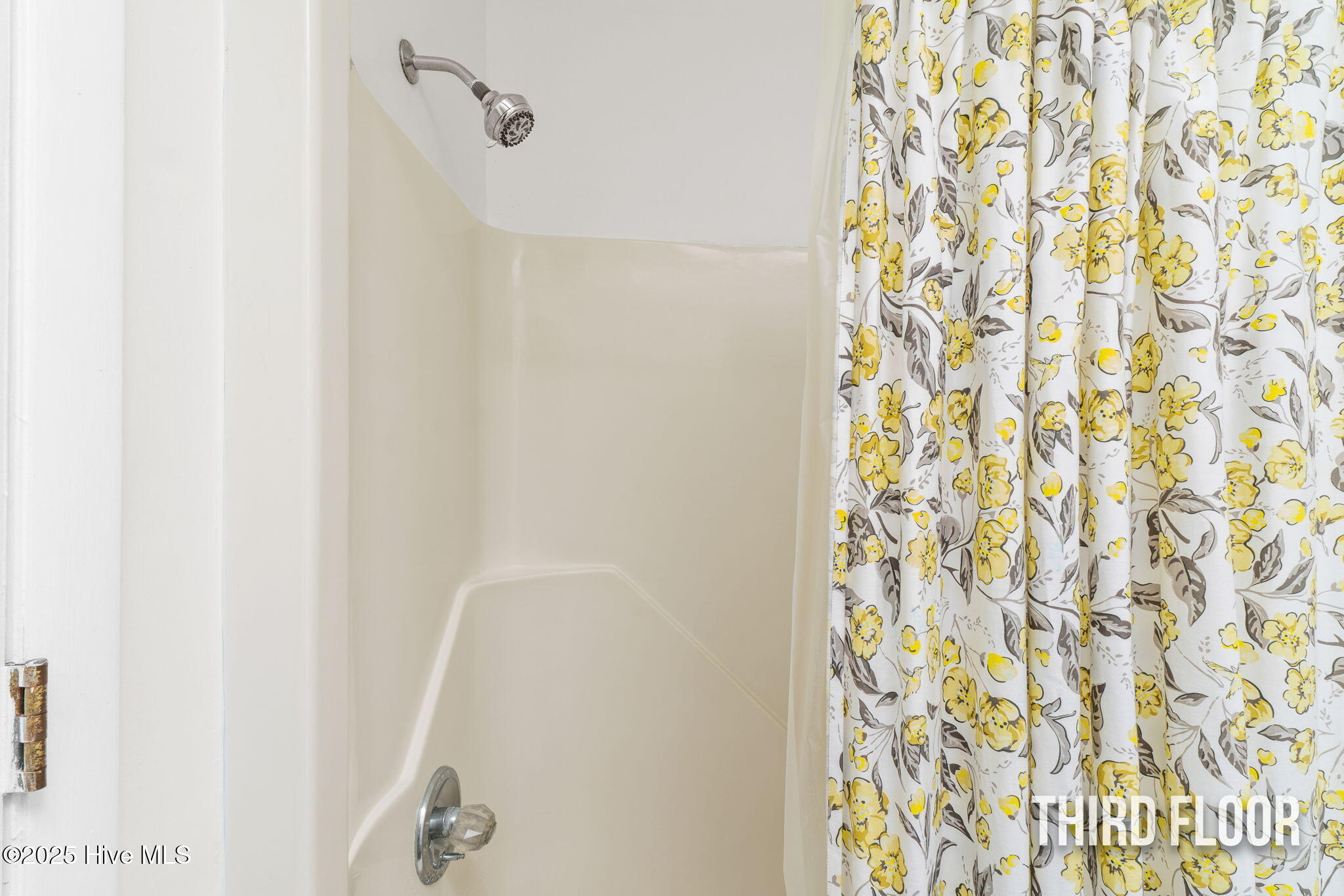 100532124 | Photo 50