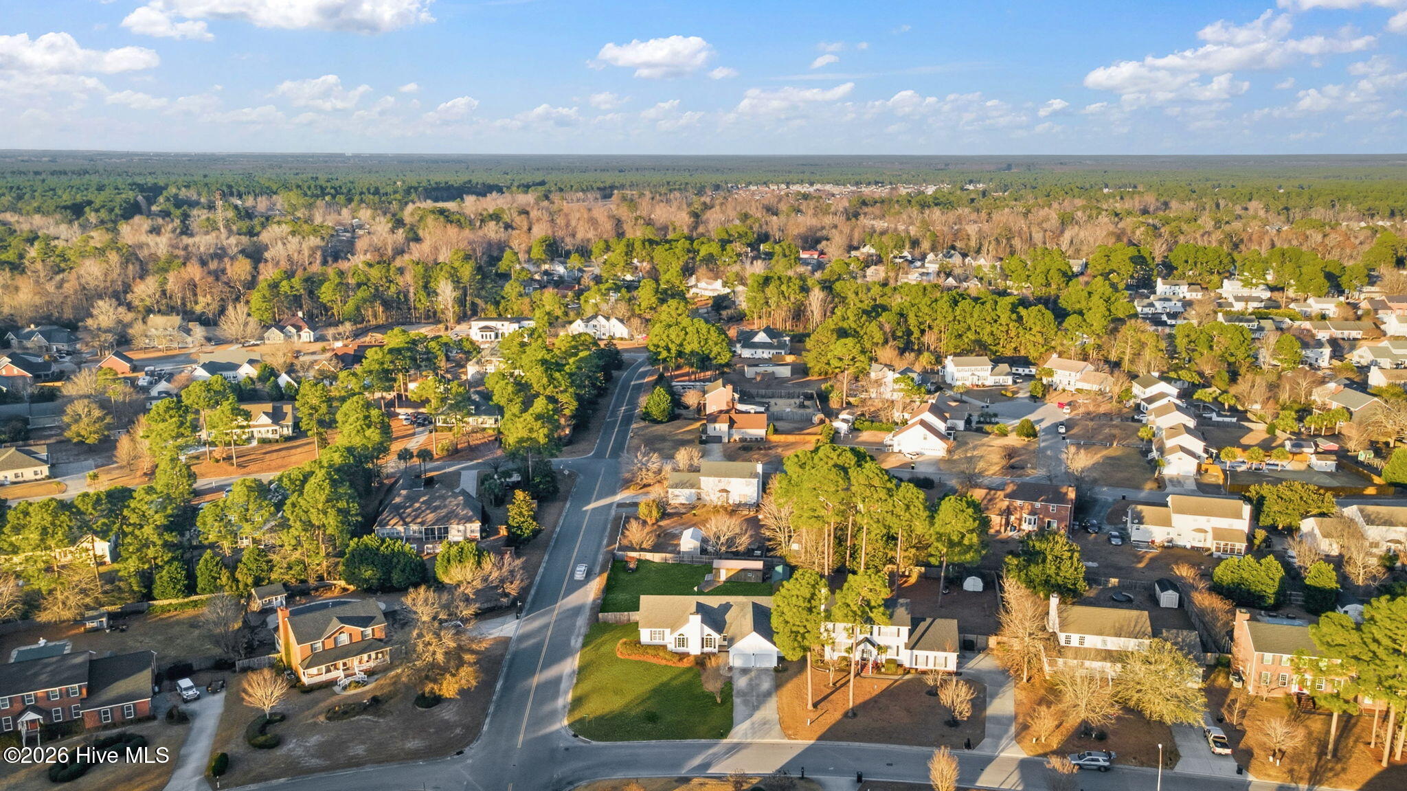 100548117 | Photo 50