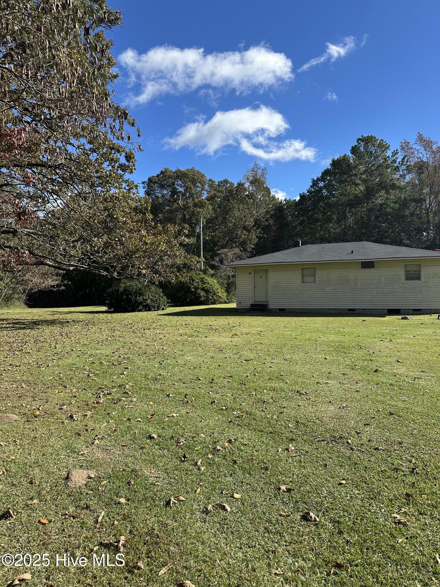 100539066 | Photo 18