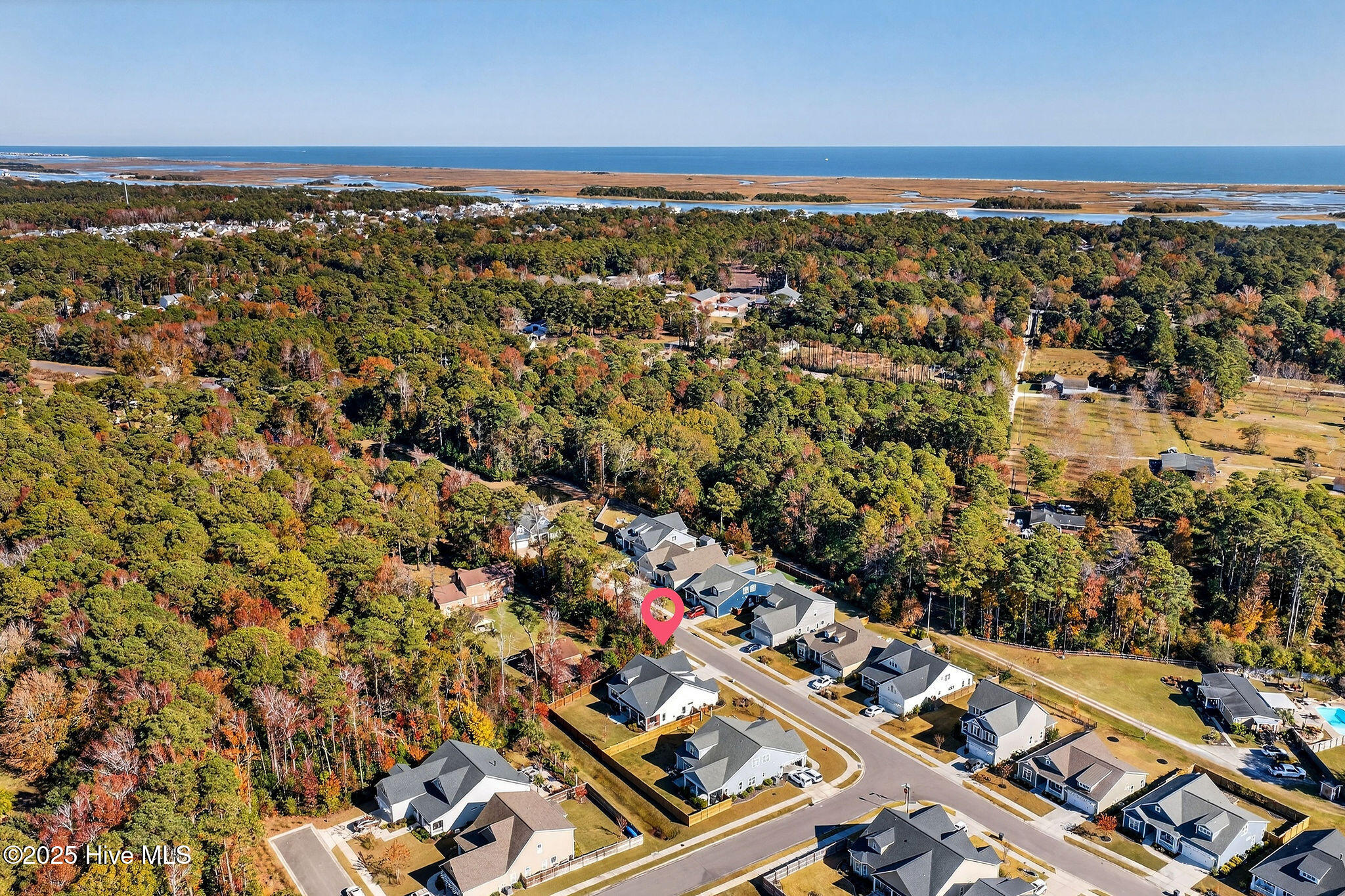 100541568 | Photo 57