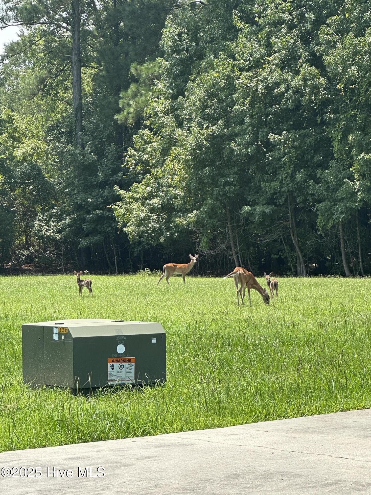 100514130 | Photo 136