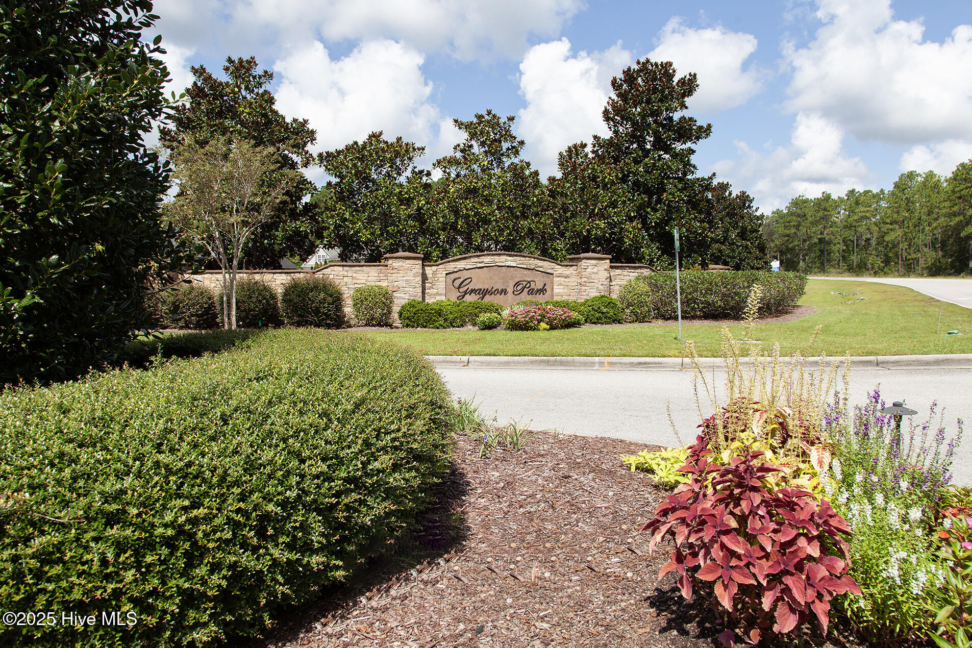 100562271 | Photo 36