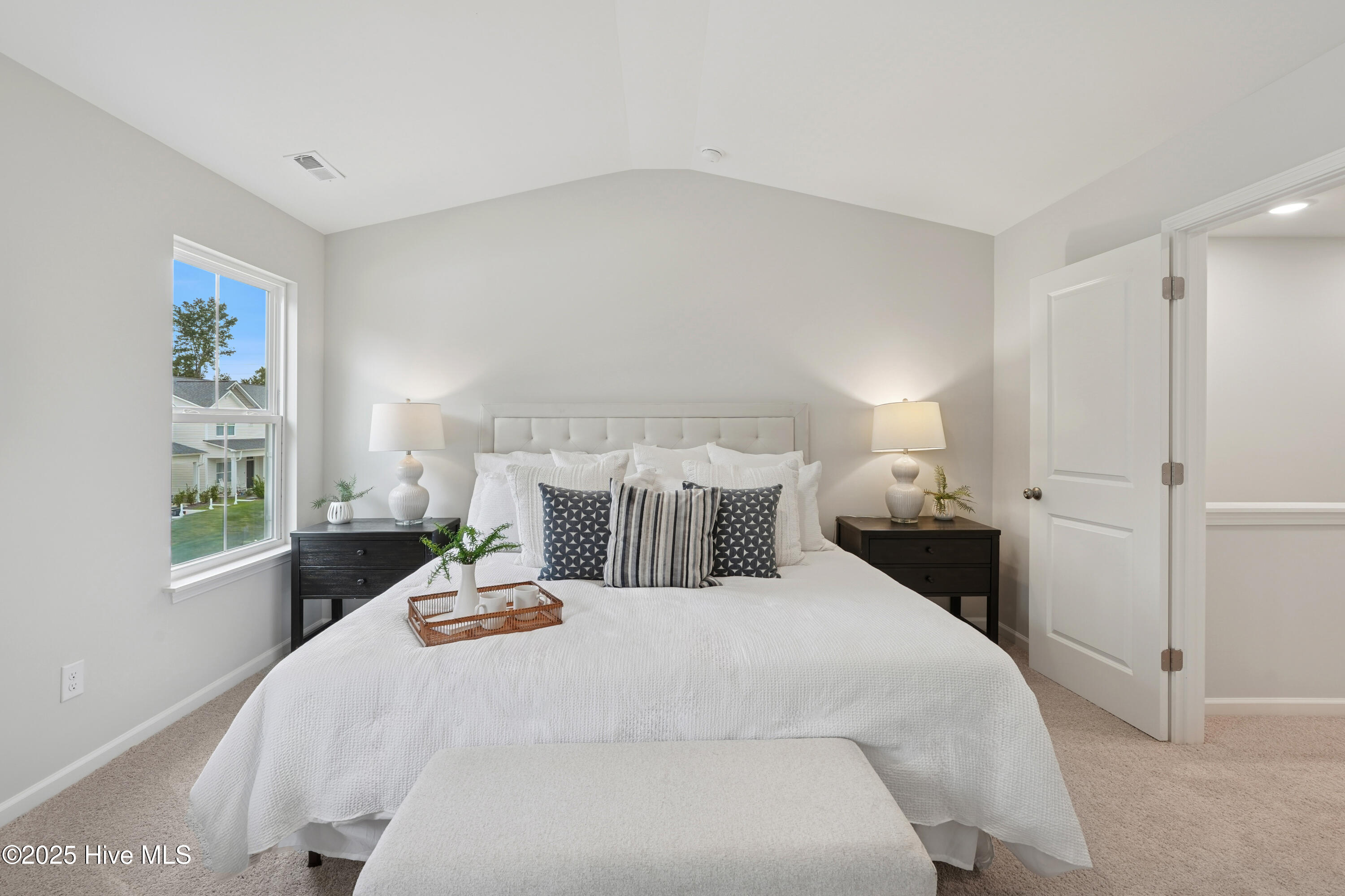 100538816 | Photo 18