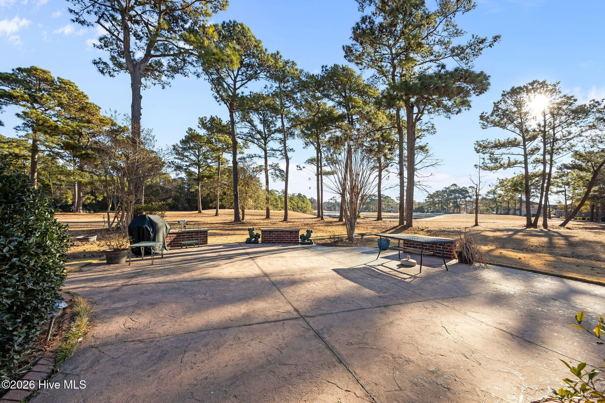 100547284 | Photo 40