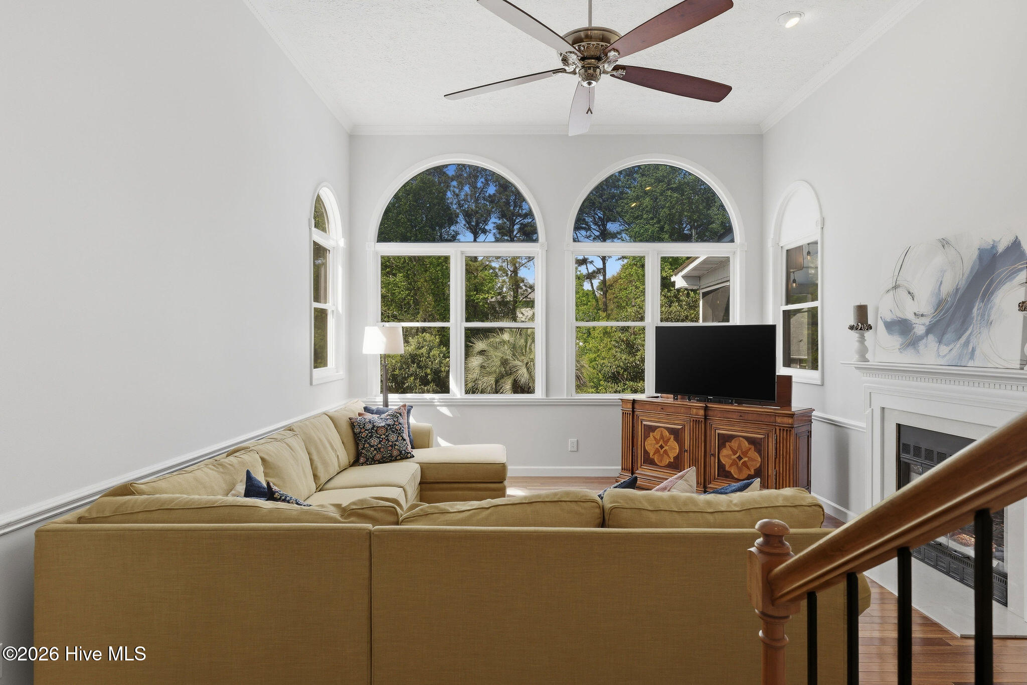 100567317 | Photo 11