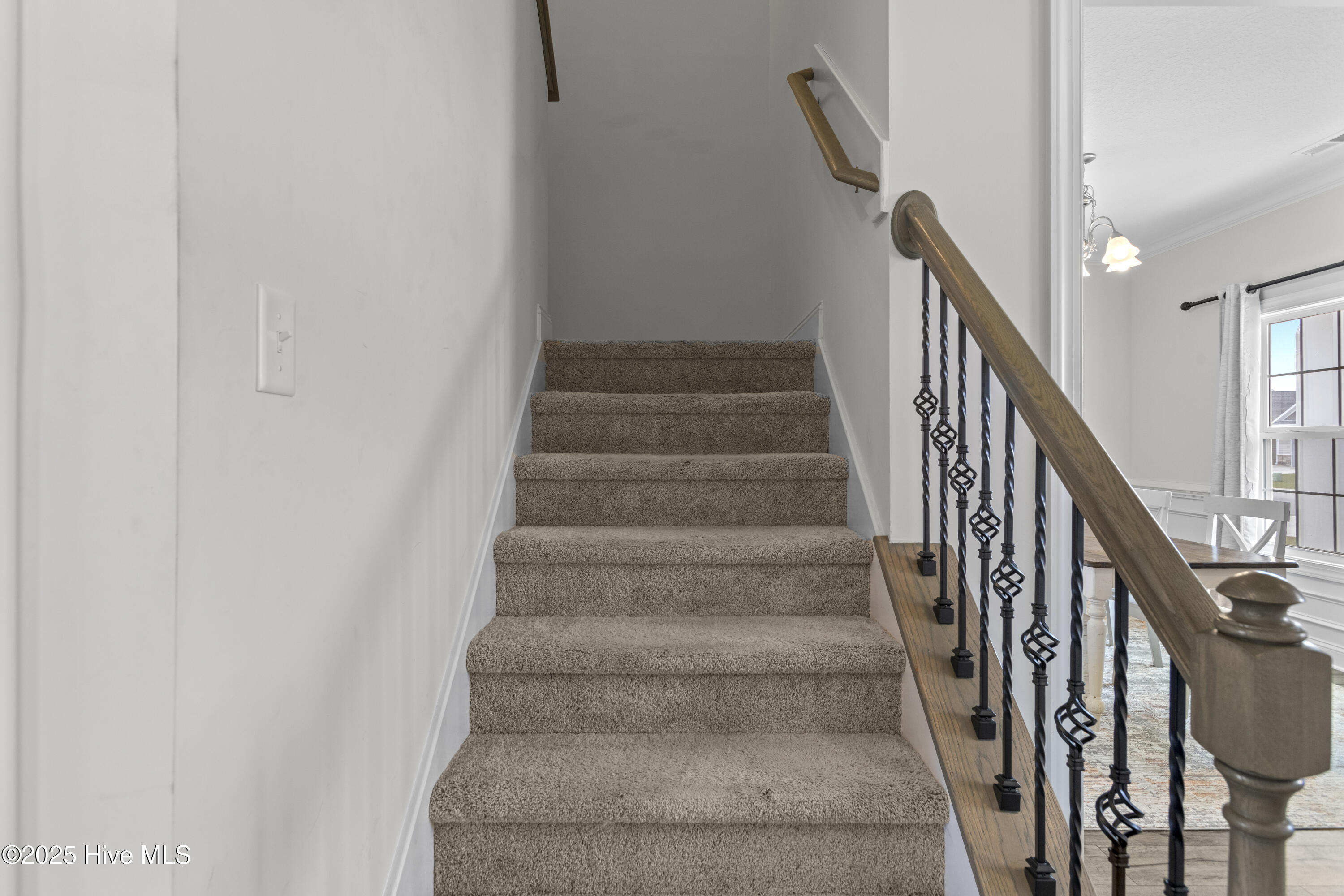 100504313 | Photo 14