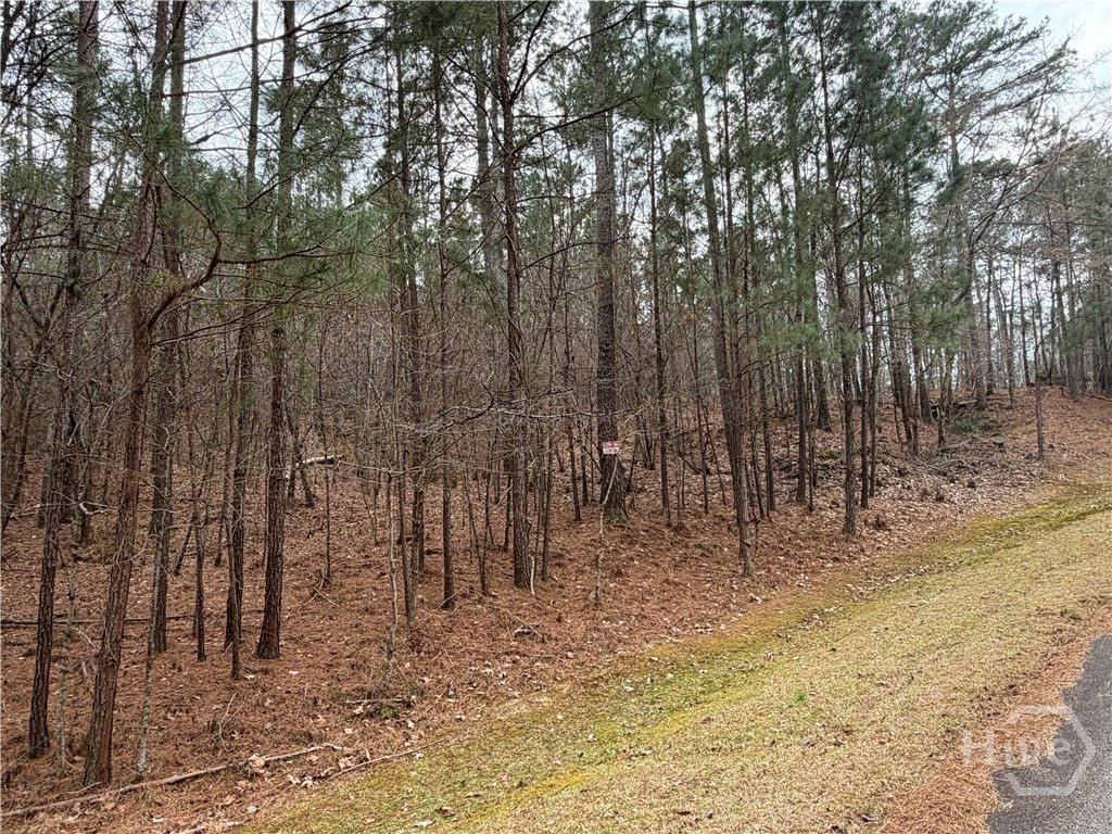 Homes for sale in Greensboro, GA | 1700 Northwoods Dr, Greensboro, GA 30642 | MLS# CL350245