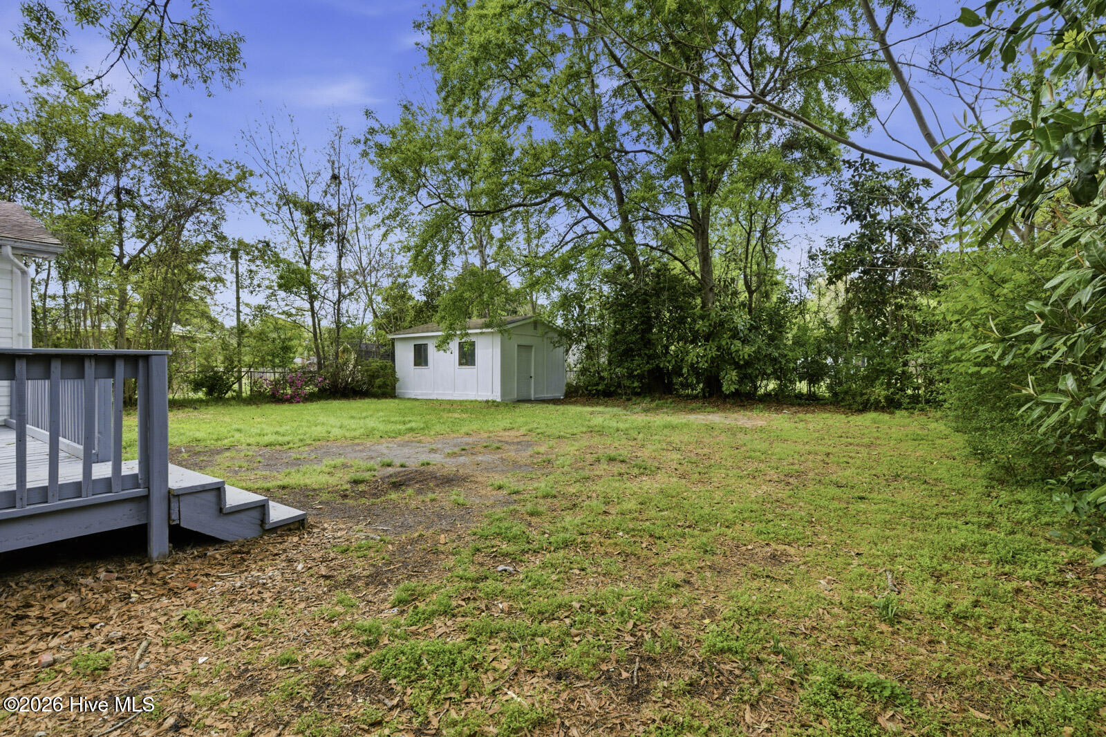 100566491 | Photo 23