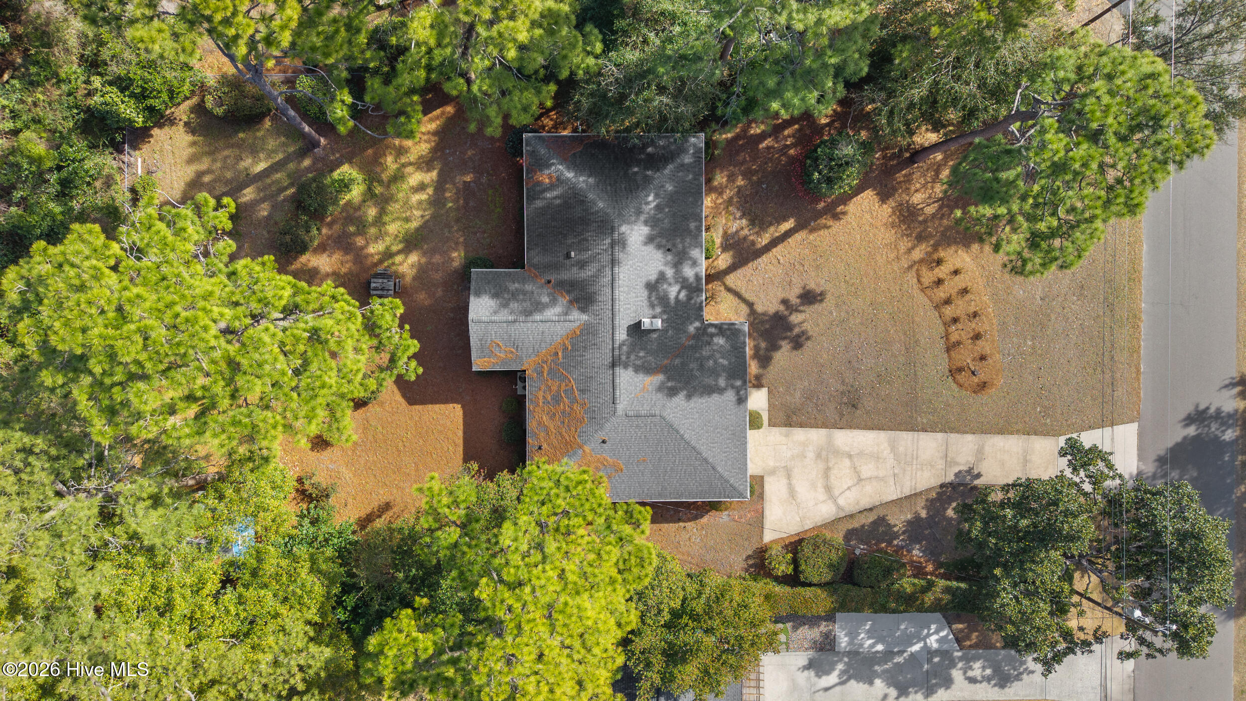 100550925 | Photo 37