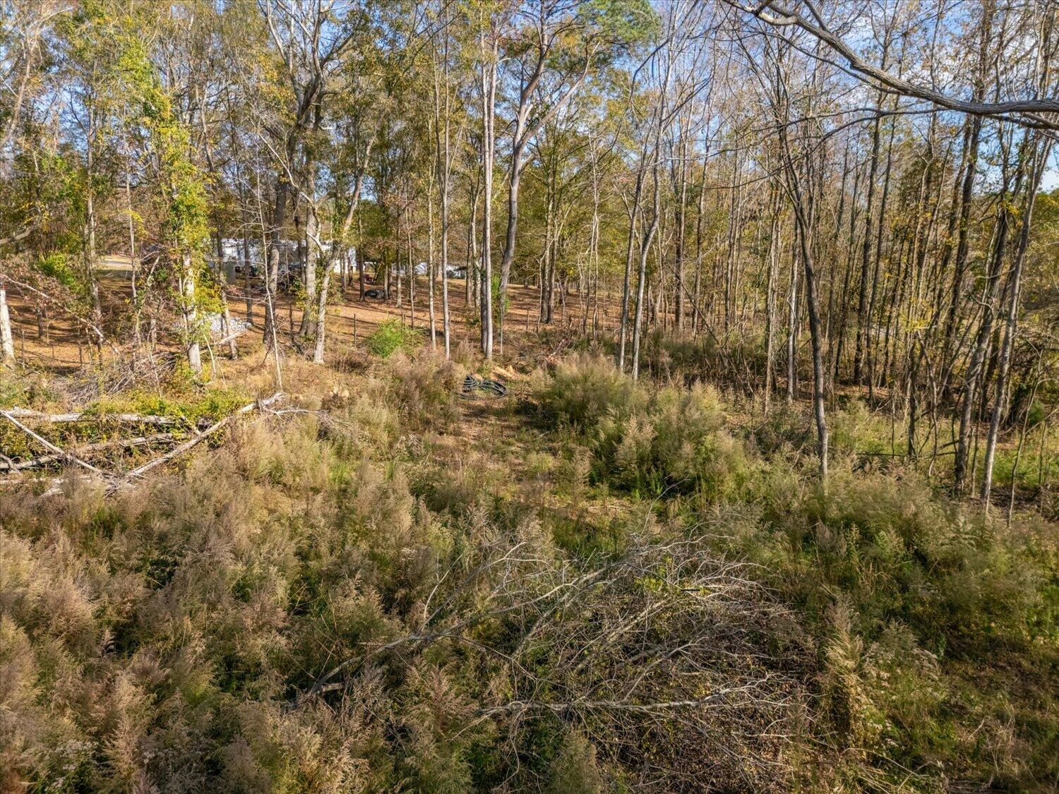 106 Rolling Hills Dr, Trenton, SC, 29847