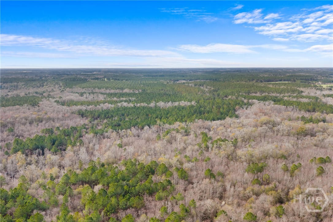 1000 Old River Road S, Brooklet, GA, 30415