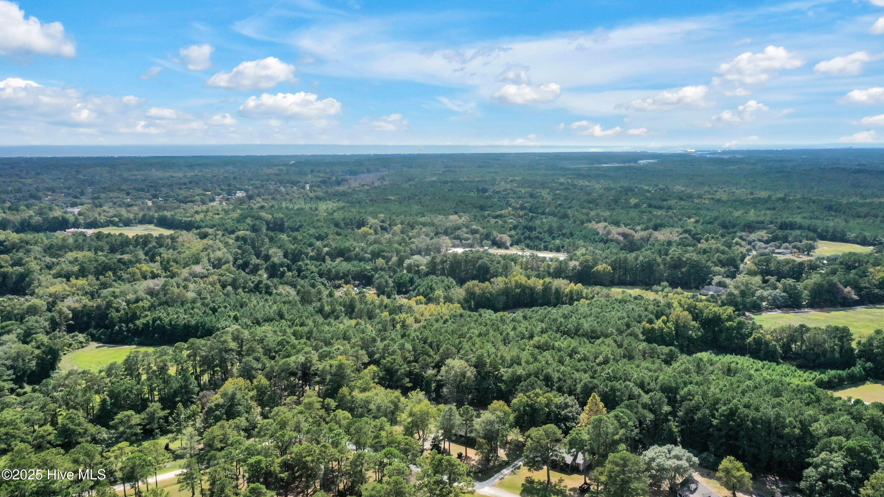 100538447 | Photo 43