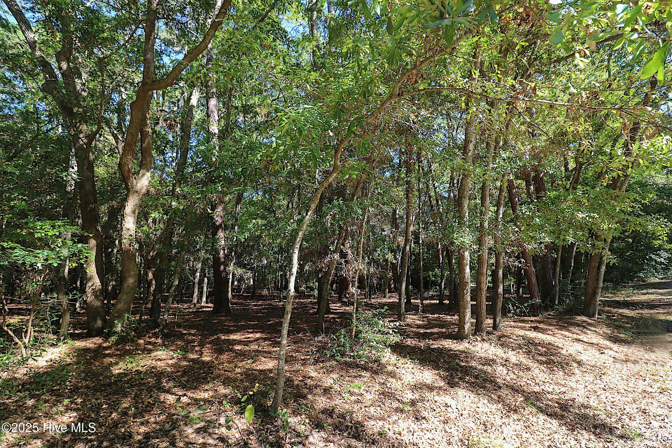 100504796 | Photo 64